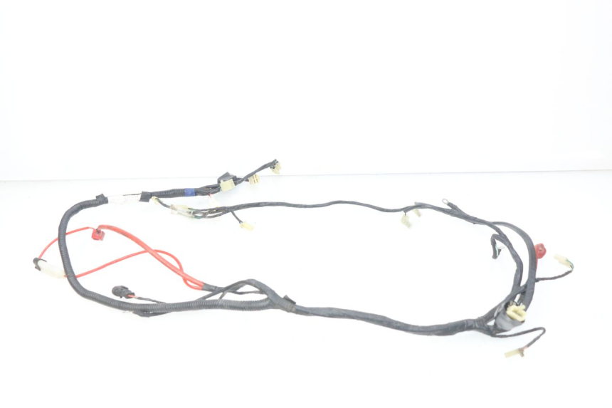 photo de WIRING HARNESS RIDE CLASSIC 2T 50 (2014 - 2022)