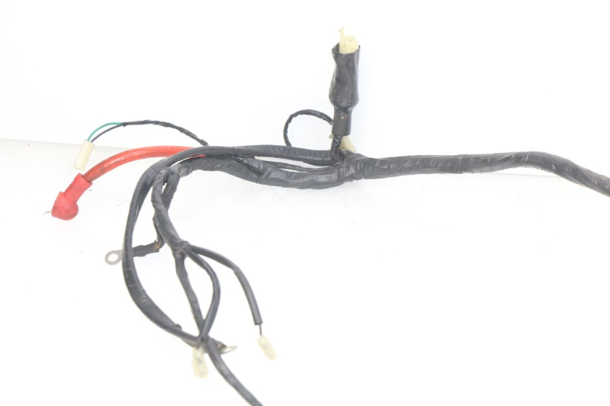 photo de WIRING HARNESS RIDE CLASSIC 2T 50 (2014 - 2022)