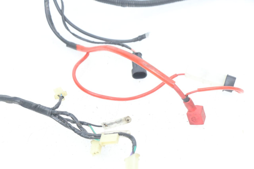 photo de WIRING HARNESS RIDE CLASSIC 2T 50 (2014 - 2022)