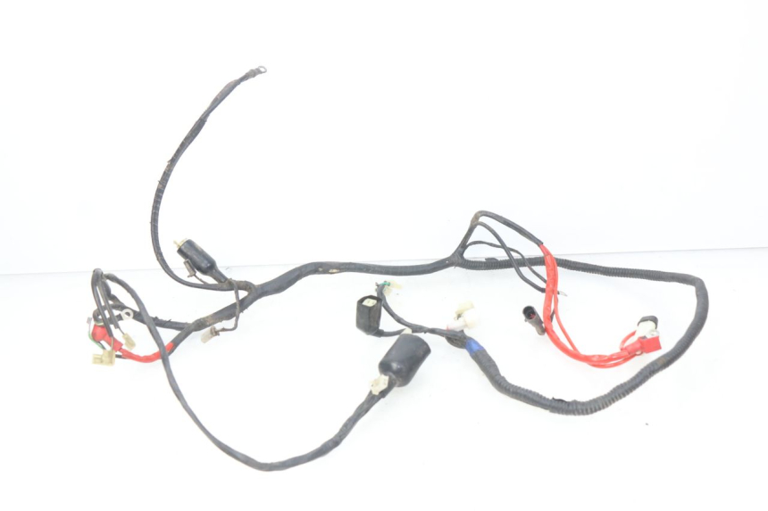 photo de WIRING HARNESS RIDE CLASSIC 2T 50 (2014 - 2022)