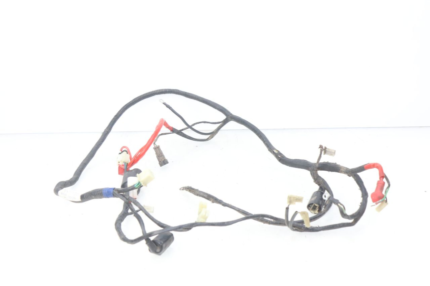 photo de WIRING HARNESS RIDE CLASSIC 2T 50 (2014 - 2022)