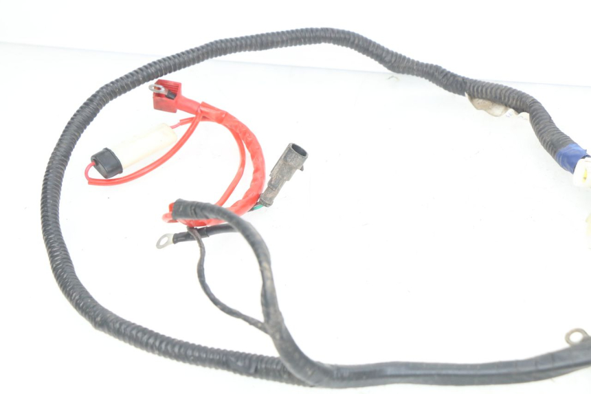 photo de WIRING HARNESS RIDE CLASSIC 2T 50 (2014 - 2022)