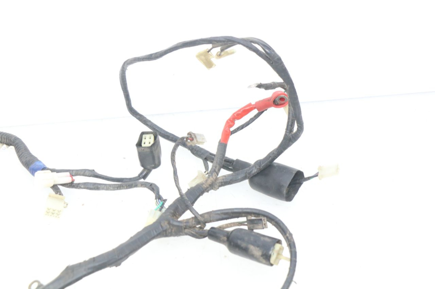 photo de WIRING HARNESS RIDE CLASSIC 2T 50 (2014 - 2022)