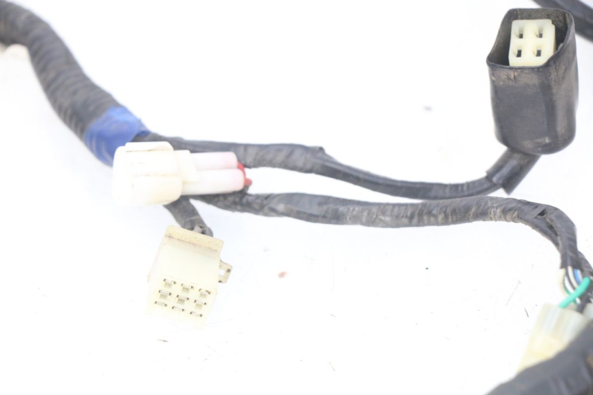 photo de WIRING HARNESS RIDE CLASSIC 2T 50 (2014 - 2022)