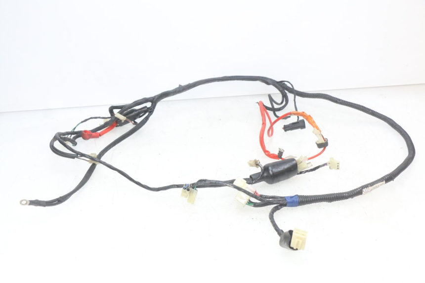 photo de WIRING HARNESS RIDE CLASSIC 2T 50 (2014 - 2022)