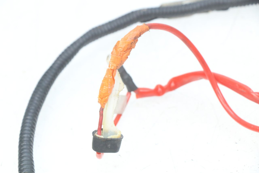 photo de WIRING HARNESS RIDE CLASSIC 2T 50 (2014 - 2022)