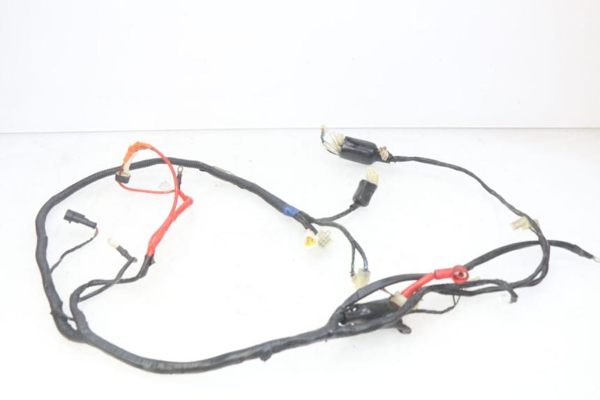 photo de WIRING HARNESS RIDE CLASSIC 2T 50 (2014 - 2022)