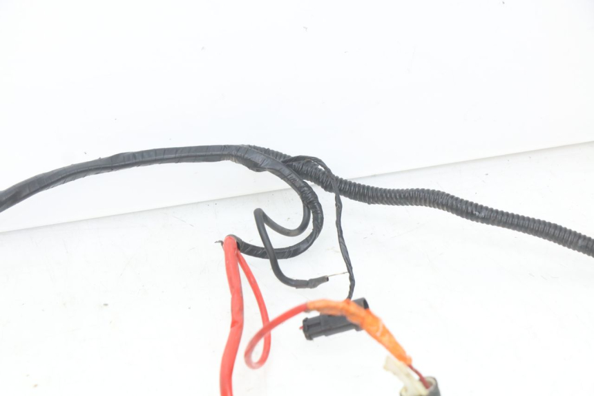 photo de WIRING HARNESS RIDE CLASSIC 2T 50 (2014 - 2022)