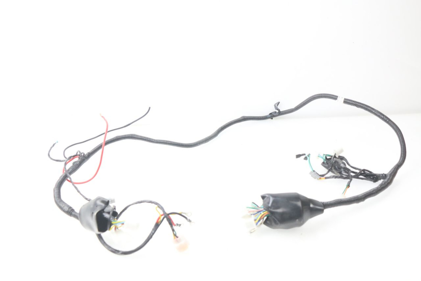 photo de WIRE HARNESS RIDE E1 1 (2014 - 2022)