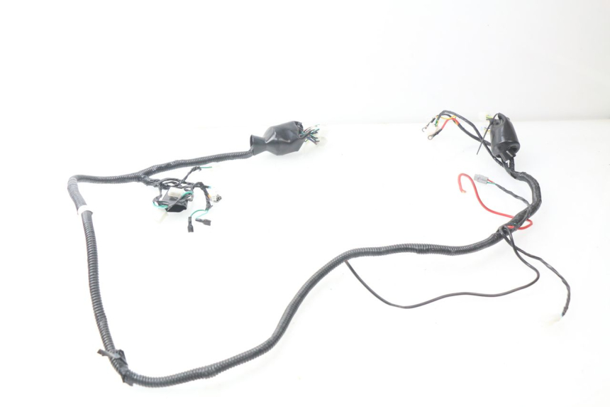 photo de WIRE HARNESS RIDE E1 1 (2014 - 2022)