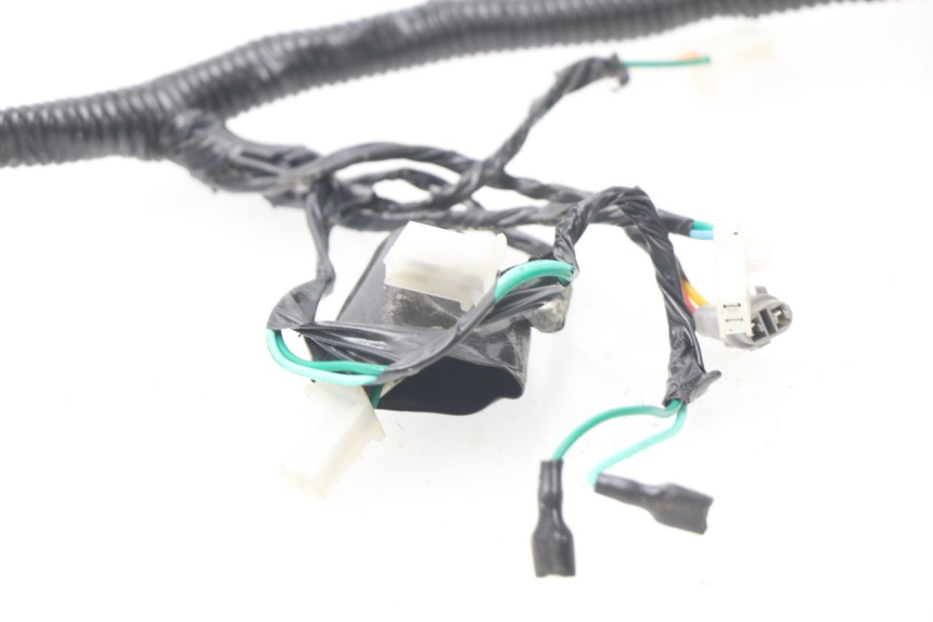 photo de WIRE HARNESS RIDE E1 1 (2014 - 2022)