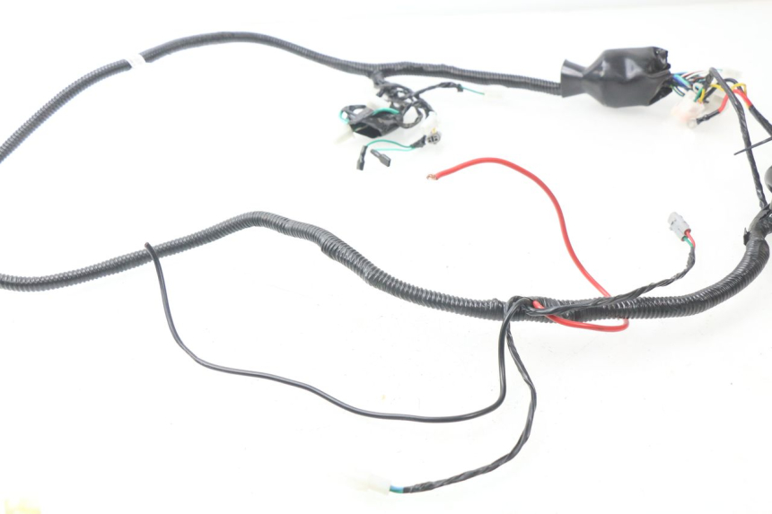 photo de WIRE HARNESS RIDE E1 1 (2014 - 2022)