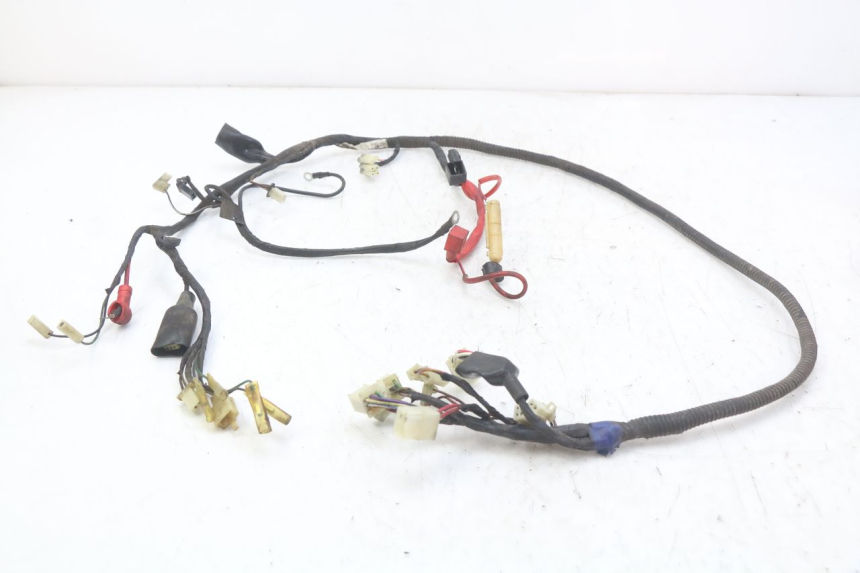 photo de WIRE HARNESS RIDE JUMP 2T 50 (2012 - 2017)