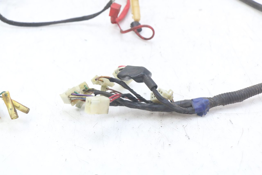 photo de WIRE HARNESS RIDE JUMP 2T 50 (2012 - 2017)