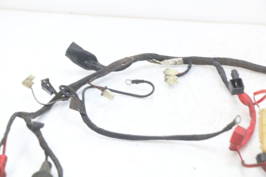 photo de WIRE HARNESS RIDE JUMP 2T 50 (2012 - 2017)