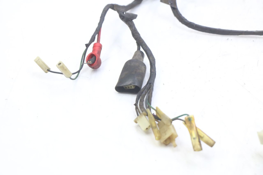 photo de WIRE HARNESS RIDE JUMP 2T 50 (2012 - 2017)