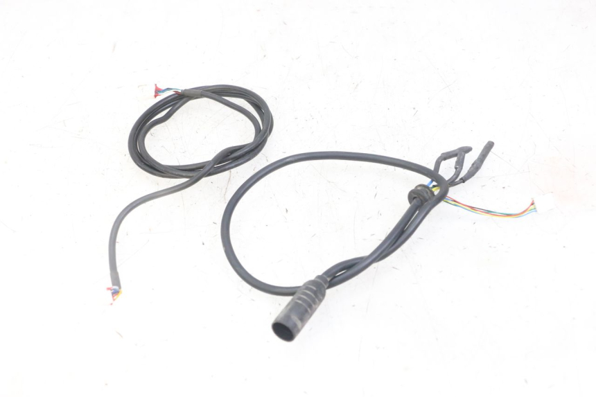 photo de WIRE HARNESS PUNK ELECTRIC RIDER 1