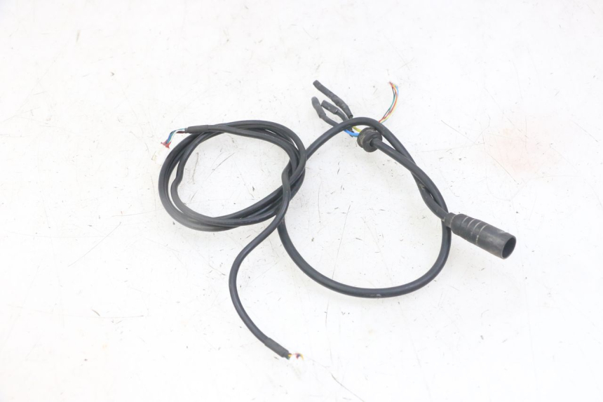 photo de WIRE HARNESS PUNK ELECTRIC RIDER 1