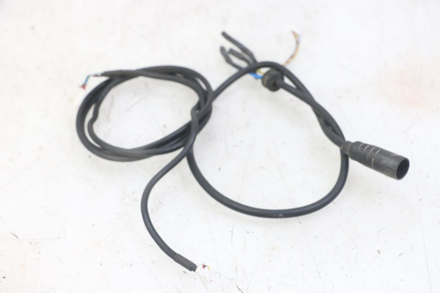 photo de WIRE HARNESS PUNK ELECTRIC RIDER 1