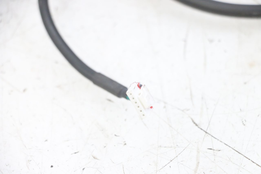 photo de WIRE HARNESS PUNK ELECTRIC RIDER 1