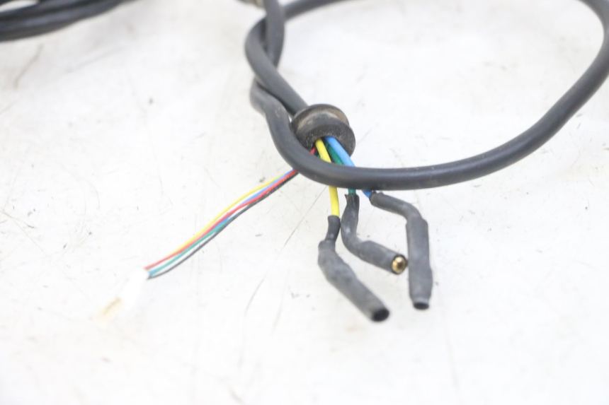 photo de WIRE HARNESS PUNK ELECTRIC RIDER 1