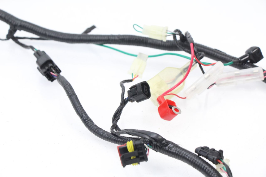 photo de WIRE HARNESS TNT MOTOR ROMA 10' 4T 50 (2007 - 2018) - Zoom on usage condition