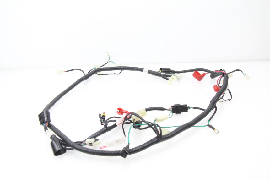 photo de WIRE HARNESS TNT MOTOR ROMA 10' 4T 50 (2007 - 2018) - Technical close-up