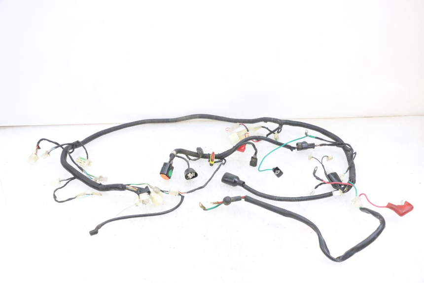 photo de WIRING HARNESS TNT MOTOR ROMA 10' 4T 50 (2019 - 2022) - Main view