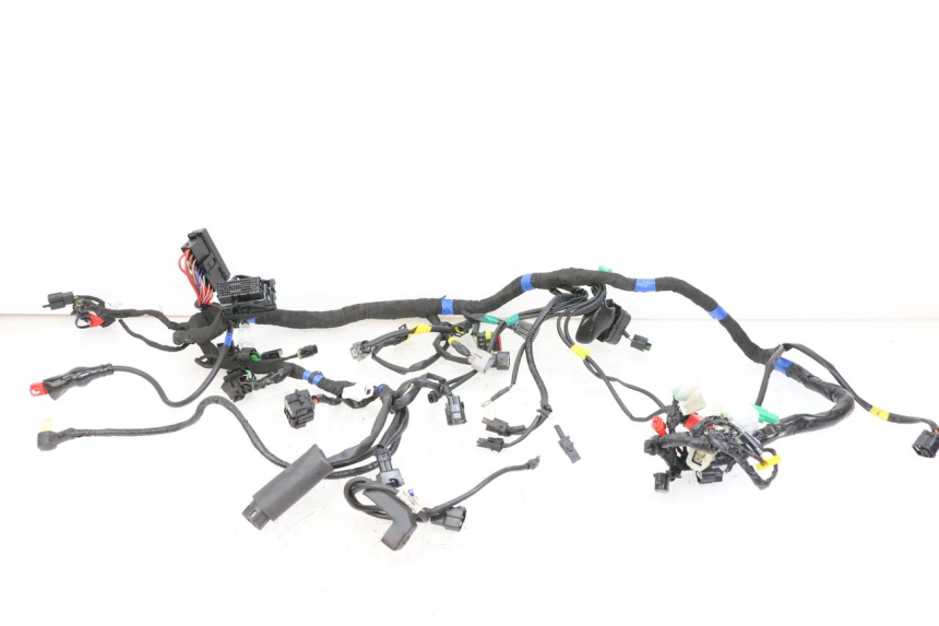 photo de WIRE HARNESS ROYAL ENFIELD CONTINENTAL GT 650 (2019 - 2024)