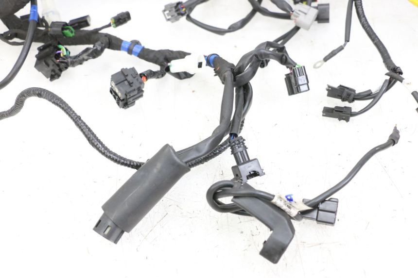 photo de WIRE HARNESS ROYAL ENFIELD CONTINENTAL GT 650 (2019 - 2024)