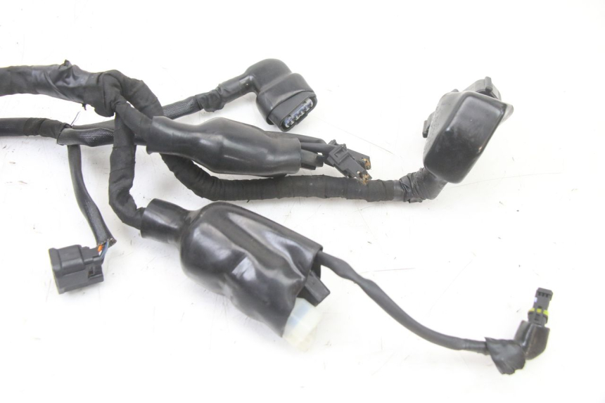 photo de WIRE HARNESS ROYAL ENFIELD HYMALAYAN 410 (2016 - 2023)