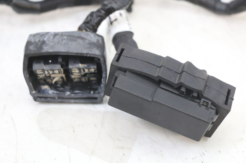 photo de WIRE HARNESS ROYAL ENFIELD SCRAM 411 (2022 - 2024)