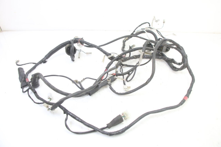 photo de WIRE HARNESS GILERA RUNNER SP 50 (2006 - 2008)