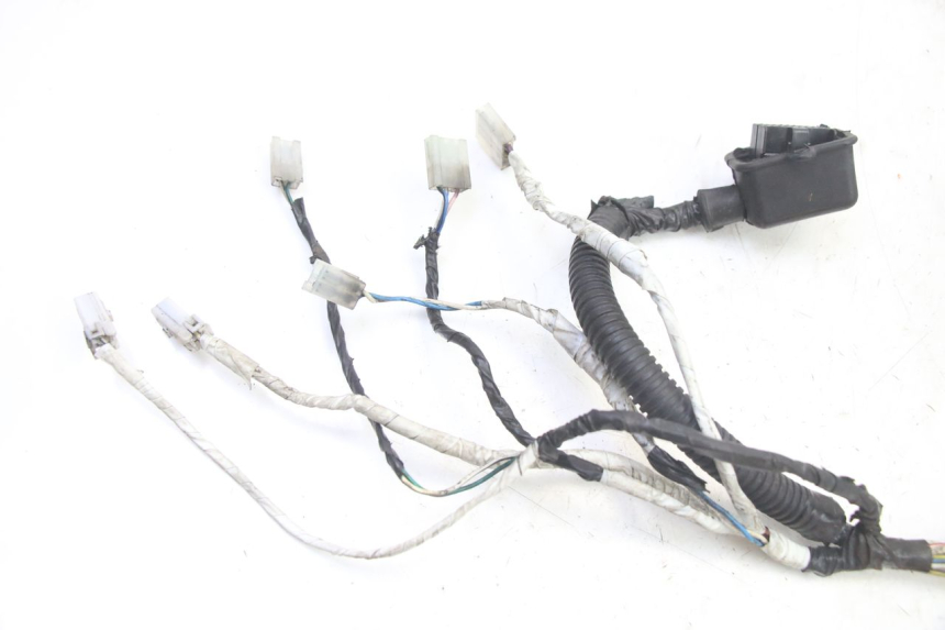 photo de WIRE HARNESS GILERA RUNNER SP 50 (2006 - 2008)