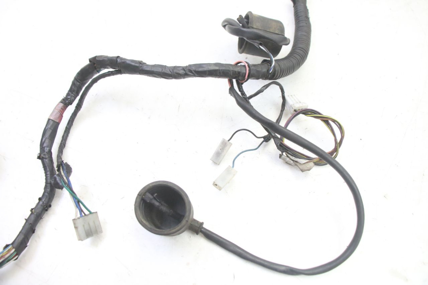 photo de WIRE HARNESS GILERA RUNNER SP 50 (2006 - 2008)