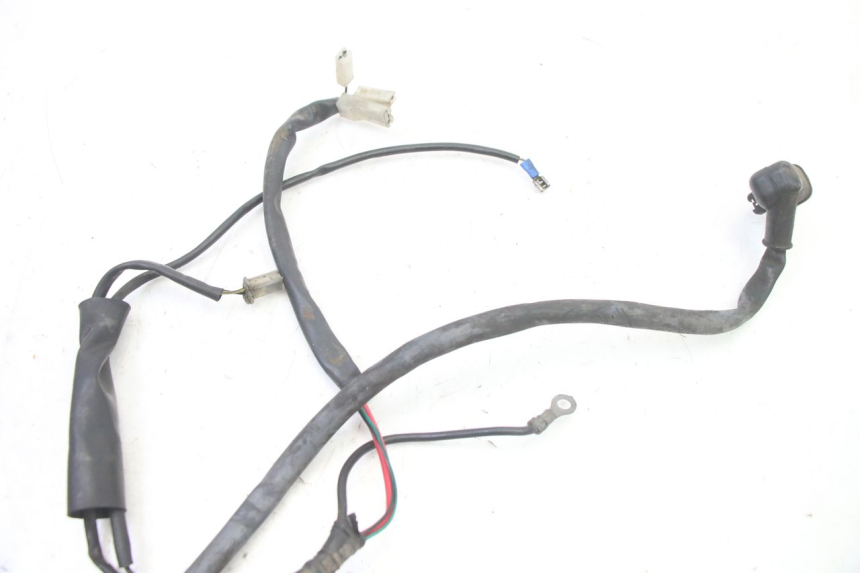 photo de WIRE HARNESS GILERA RUNNER SP 50 (2006 - 2008)