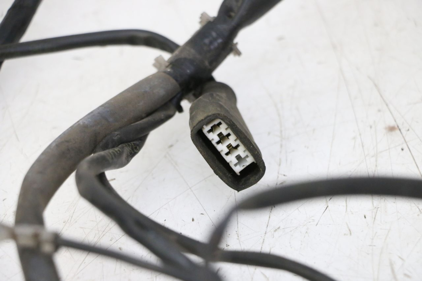photo de WIRE HARNESS GILERA RUNNER SP 50 (2009 - 2017)