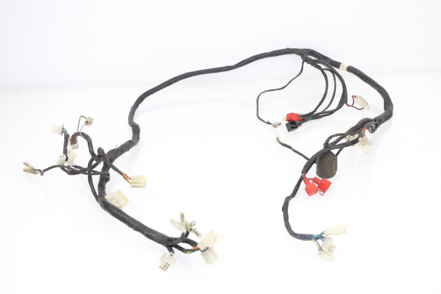 photo de WIRE HARNESS SACHS EAGLE 50 (2007 - 2010)