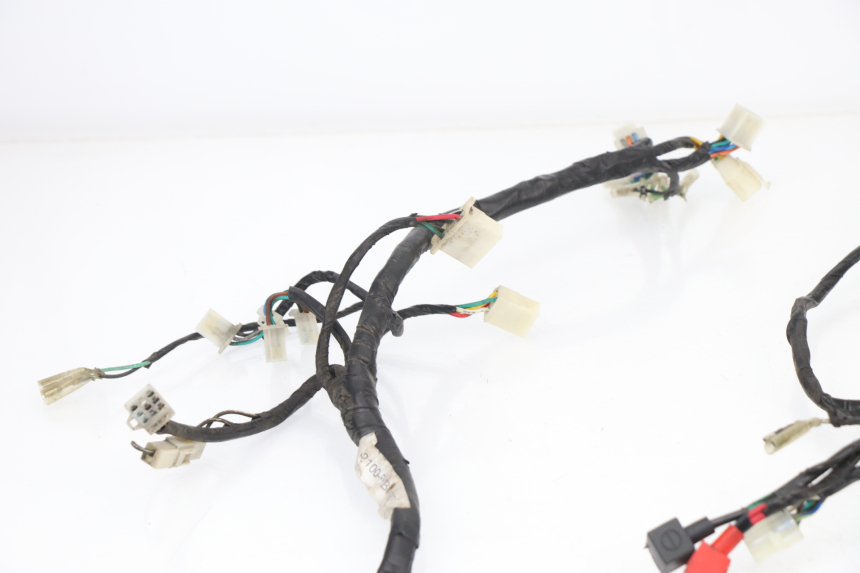 photo de WIRE HARNESS SACHS EAGLE 50 (2007 - 2010)