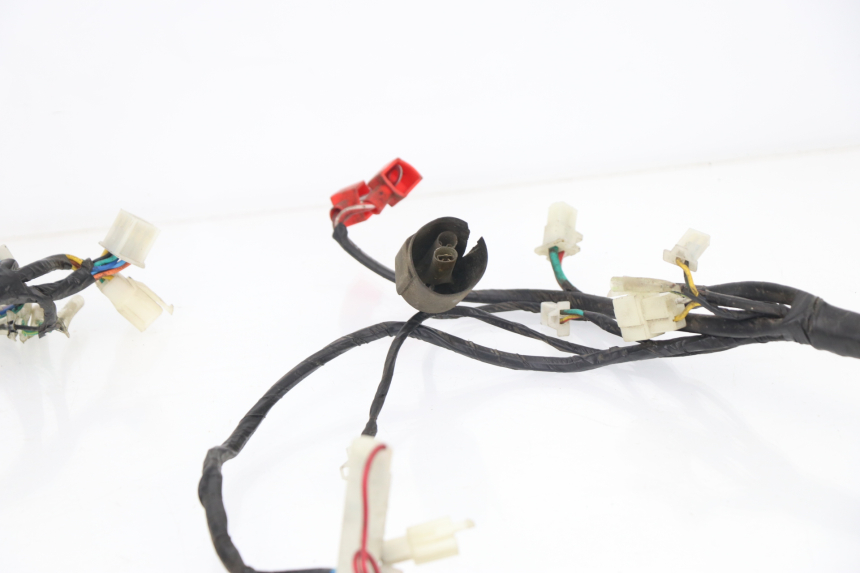 photo de WIRE HARNESS SACHS EAGLE 50 (2007 - 2010)