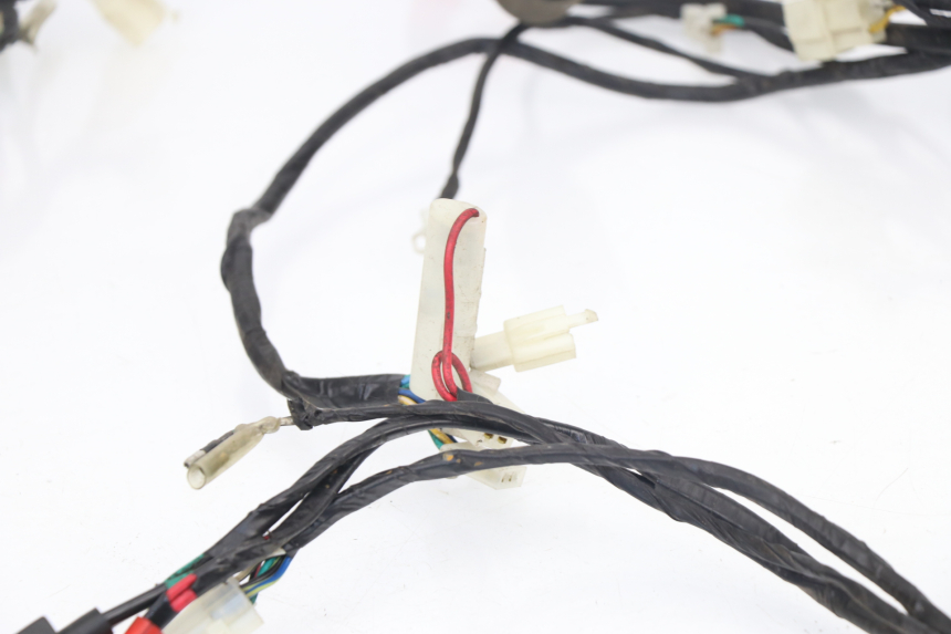 photo de WIRE HARNESS SACHS EAGLE 50 (2007 - 2010)