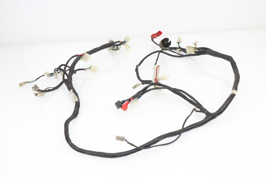 photo de WIRE HARNESS SACHS EAGLE 50 (2007 - 2010)