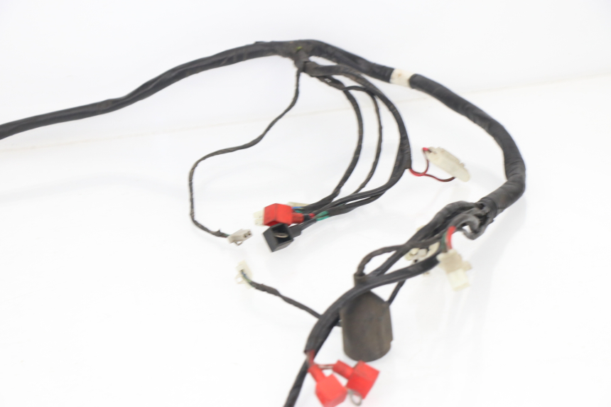 photo de WIRE HARNESS SACHS EAGLE 50 (2007 - 2010)