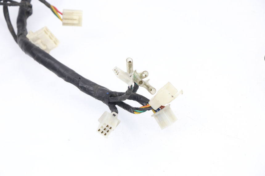 photo de WIRE HARNESS SACHS EAGLE 50 (2007 - 2010)