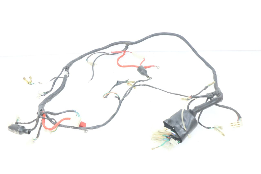 photo de WIRE HARNESS SACHS FY125T FY T 125 (2007 - 2011)