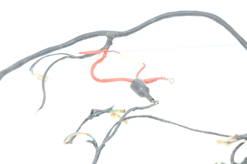 photo de WIRE HARNESS SACHS FY125T FY T 125 (2007 - 2011)