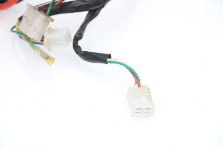photo de WIRE HARNESS SAMPO LY50QT-21 50 (2009 - 2014)