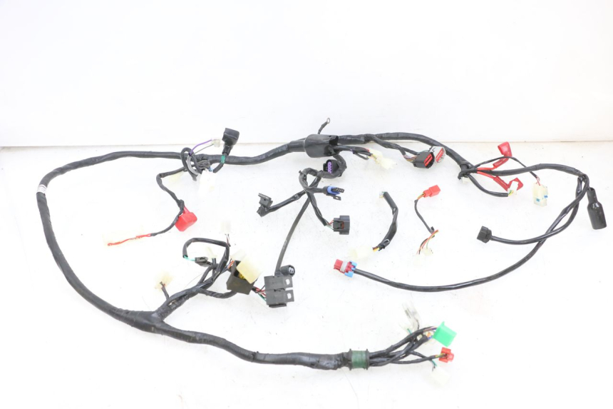 photo de WIRE HARNESS JM MOTORS SANTANA EVO 50 (2024 - 2026) - Main view
