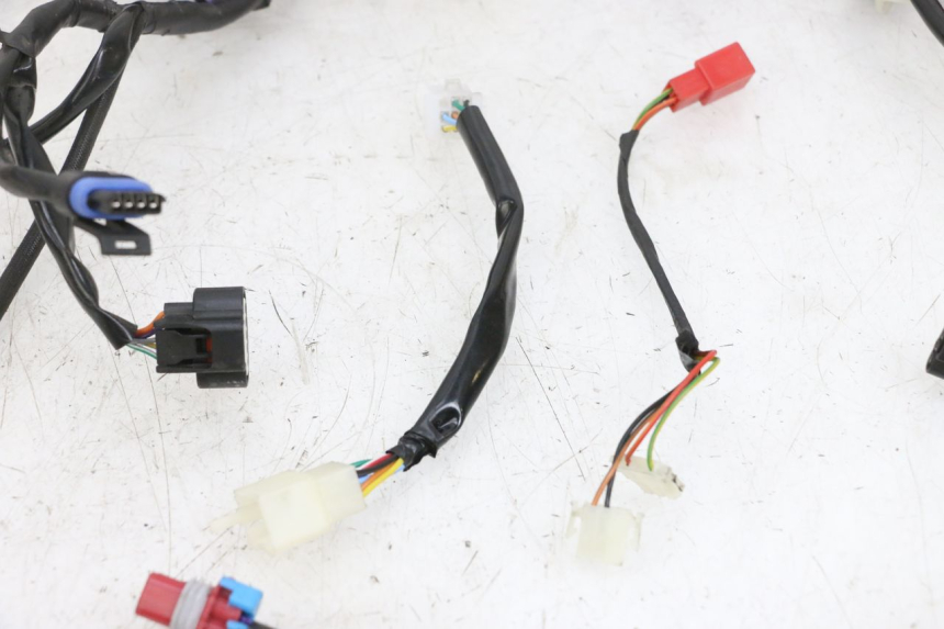 photo de WIRE HARNESS JM MOTORS SANTANA EVO 50 (2024 - 2026) - Component detail
