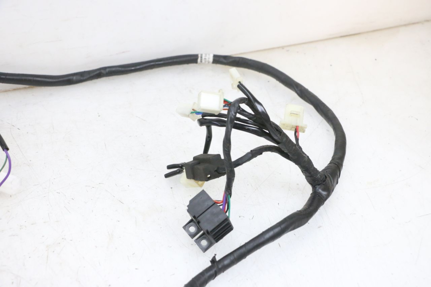 photo de WIRE HARNESS JM MOTORS SANTANA EVO 50 (2024 - 2026) - Distinctive features